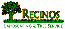 Recinos Tree Experts