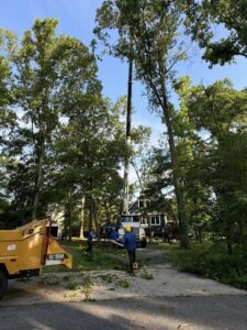 Recinos Landscaping crew uses a boom crane and BC1500 wood chipper for safe crane-assisted tree removal near a Maryland home.