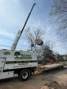 Recinos Landscaping & Tree Service crane lifts a massive oak log safely over a Maryland home during crane-assisted tree removal.